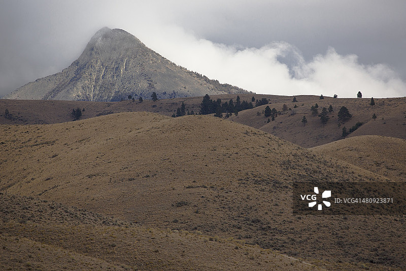 爱达荷州萨蒙查利斯国家森林图片素材