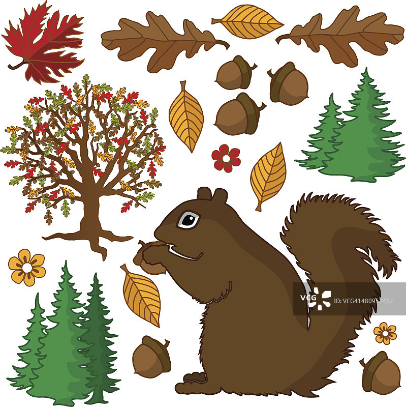 彩色坚果与秋季设计元素松鼠图片素材