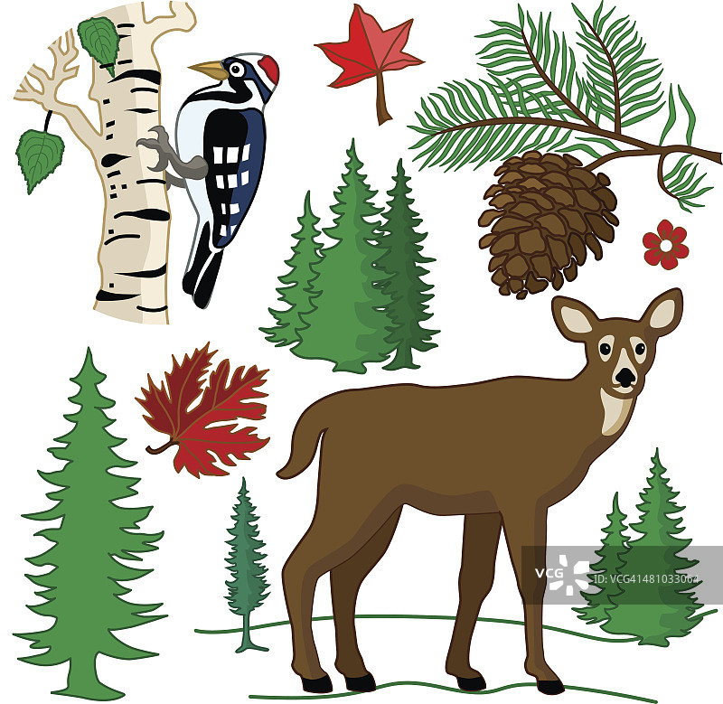 带啄木鸟和秋季设计元素的彩色鹿图片素材