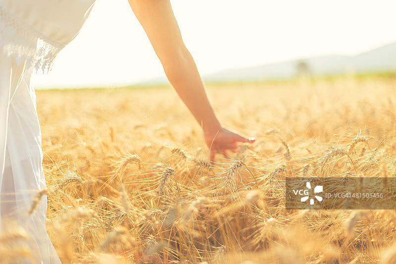 夕阳下，年轻女人的手在田野里图片素材