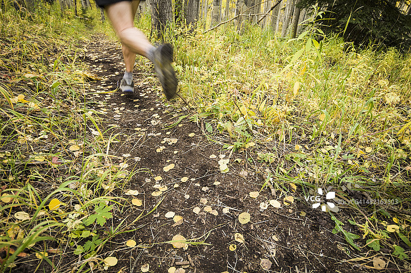 在加拿大阿尔伯塔省班夫国家公园的甘尼森国家森林海狸池塘小径上的男子越野跑者图片素材