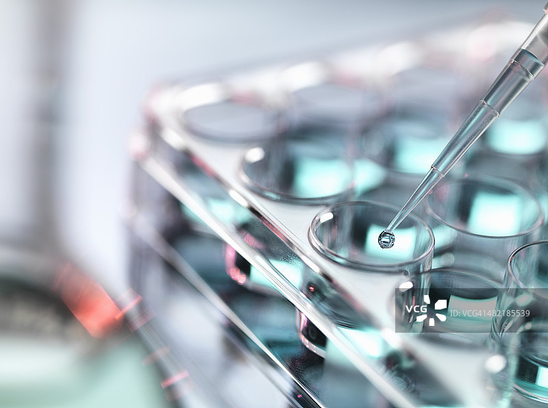 将样品移入多孔板图片素材