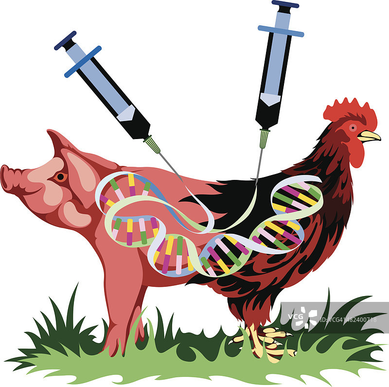 基因工程图片素材