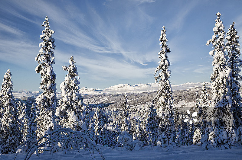 挪威哈灵达尔冬季仙境图片素材