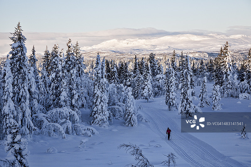 冬季仙境中的越野滑雪者图片素材