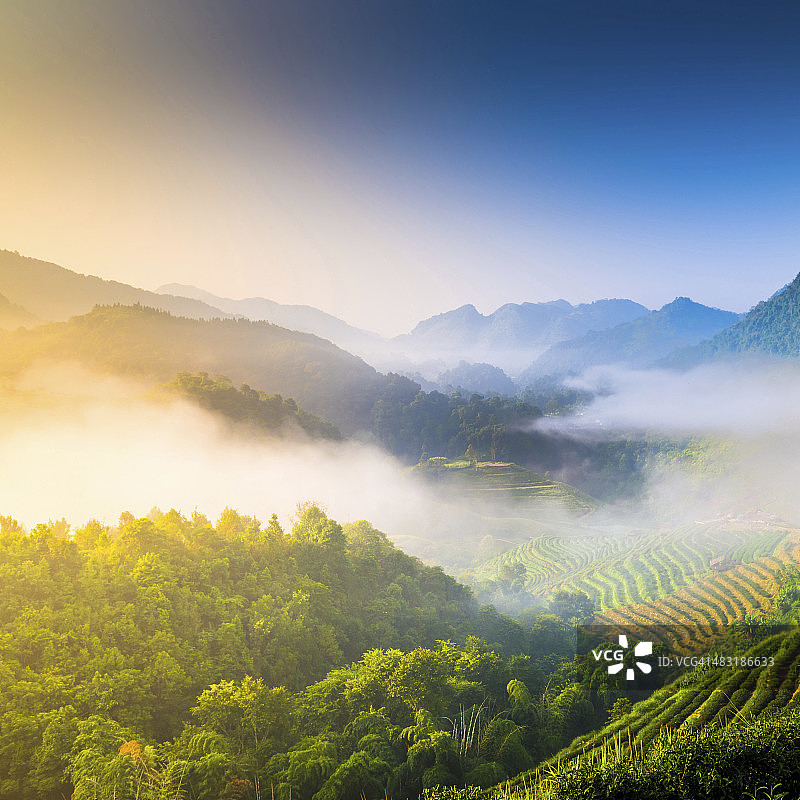 美丽的阳光在薄雾清晨的山脉。图片素材