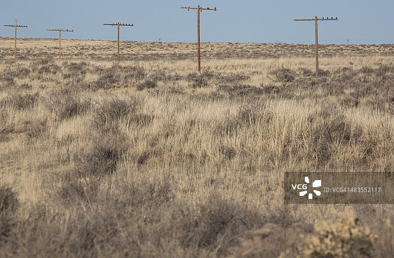 沙漠景观中的电线杆图片素材