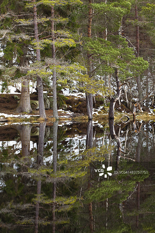 苏格兰凯恩戈姆国家公园图片素材