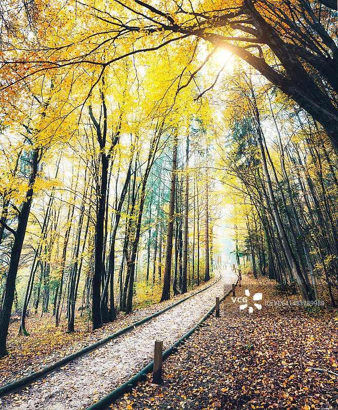 秋天的路径图片素材