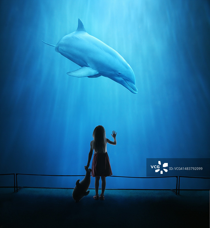 在水族馆看海豚的女孩图片素材