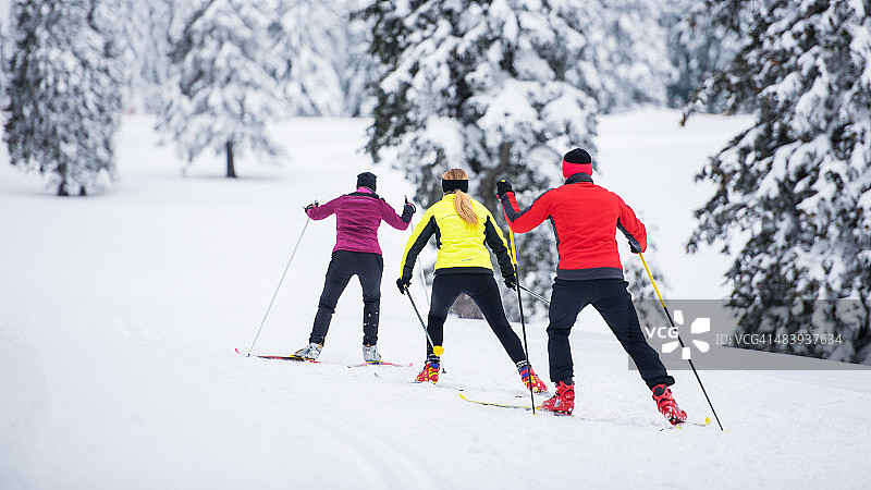小团体越野滑雪图片素材