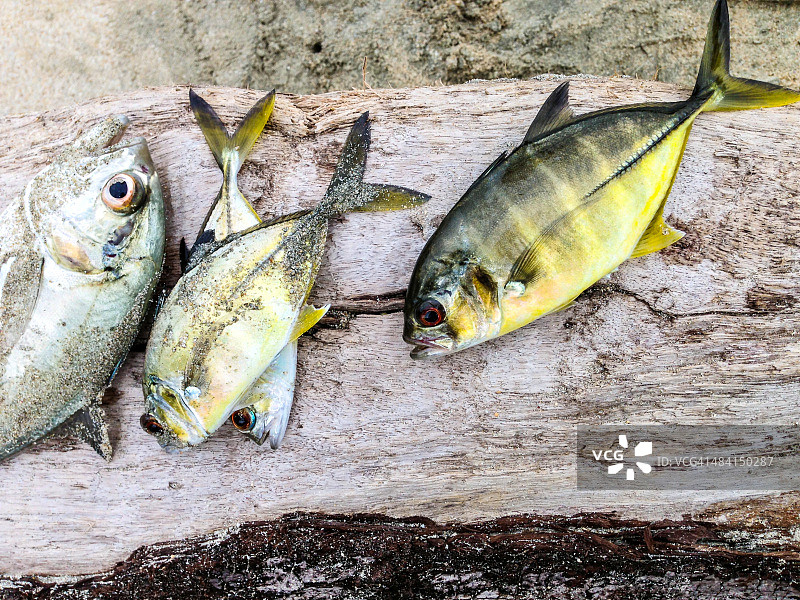 钓鱼去了…图片素材