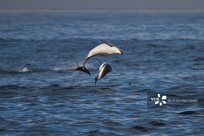 美丽的新西兰图片素材