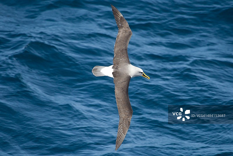 美丽的新西兰图片素材