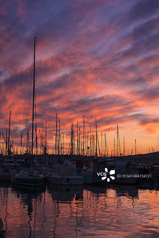 完美的紫色!图片素材