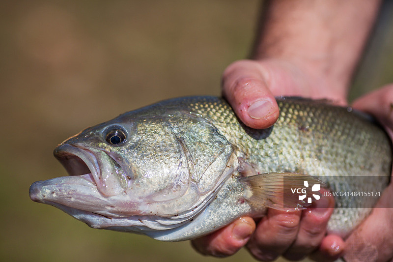 钓鱼去了…图片素材
