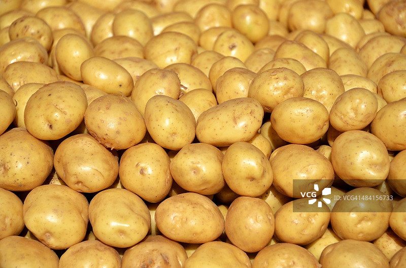 欧洲农民市场图片素材