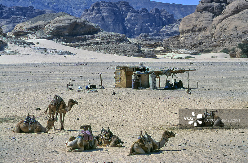 西奈半岛崎岖的荒野景观和骆驼图片素材