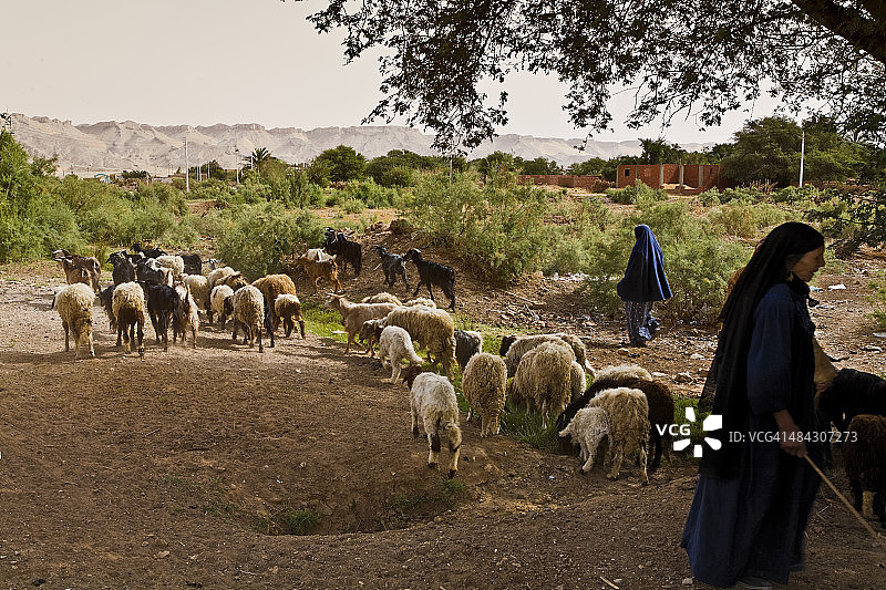 埃及达赫拉绿洲图片素材
