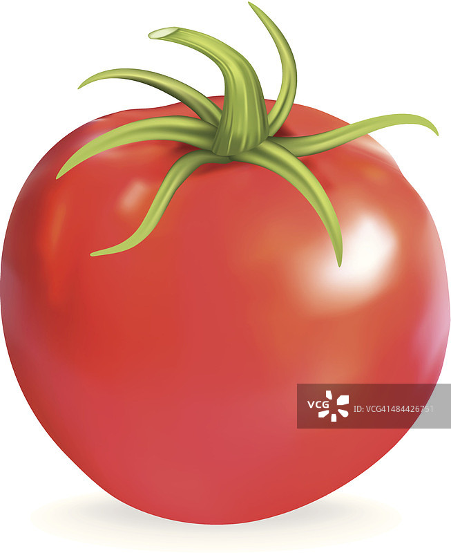 卡通红色番茄，白色背景图片素材