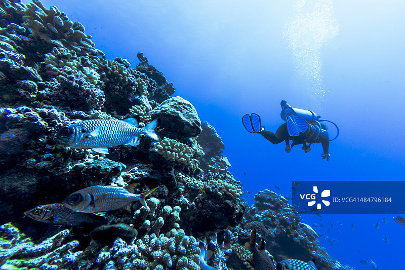 法属波利尼西亚兰吉罗阿岛蒂普塔通道的珊瑚礁图片素材