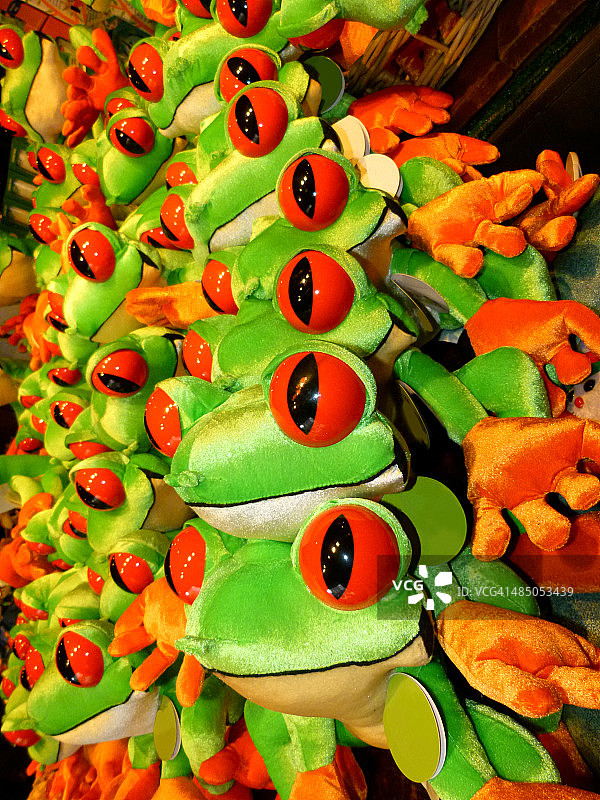 可爱的青蛙图片素材