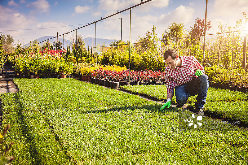 田野园艺图片素材