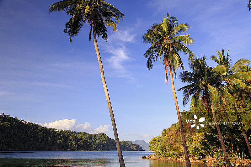 菲律宾巴拉望海龟湾图片素材