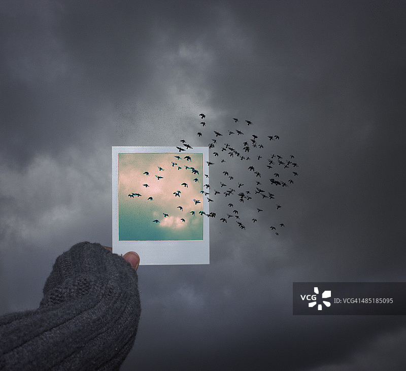 像鸟儿一样自由图片素材