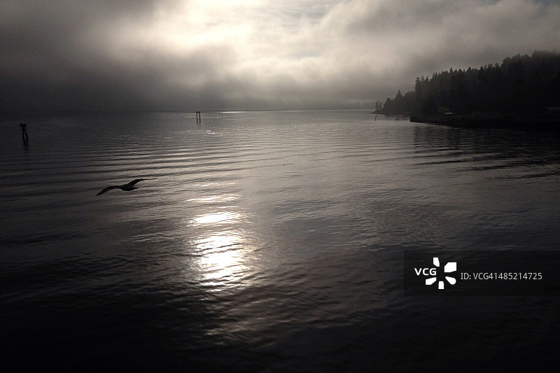 美国华盛顿州基萨普县班布里奇岛：普吉特海峡的宁静水域图片素材