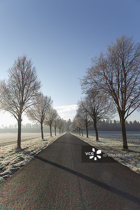 德国巴登-符腾堡州蒂宾根艾因西德尔的冬日早晨大道图片素材