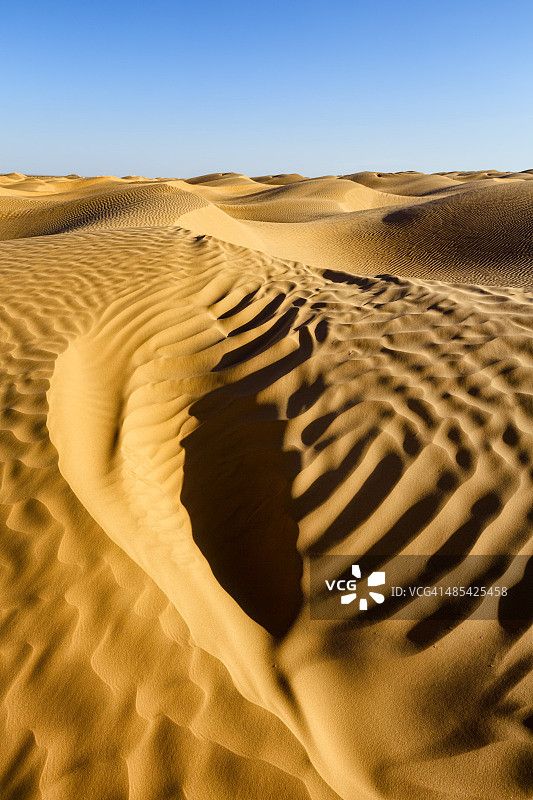 沙漠的寂静创造了新的图案和线条图片素材