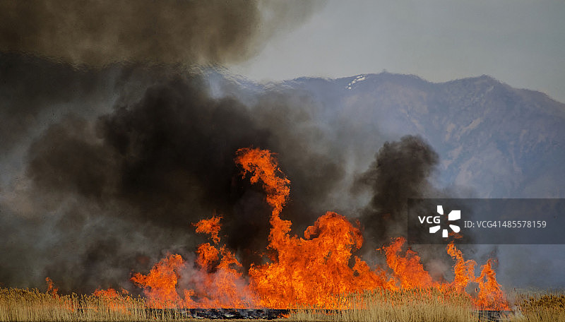 有控制的燃烧图片素材