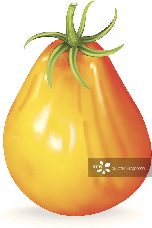 黄色传家宝番茄图片素材