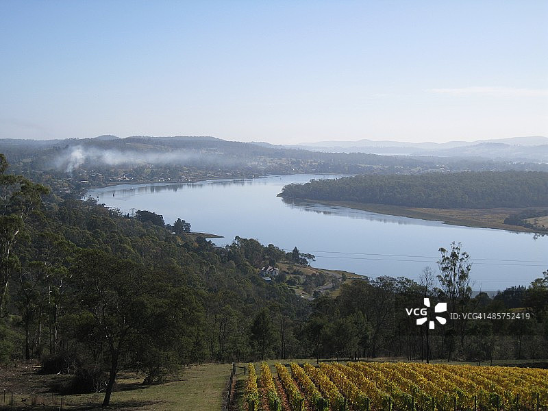 塔玛河与葡萄园图片素材