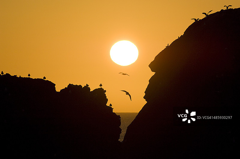 日出时分的阿伯丁郡海岸图片素材