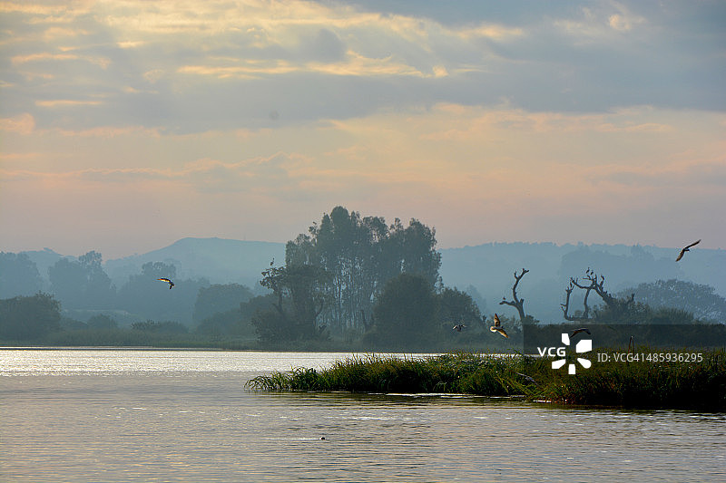 埃塞俄比亚塔纳湖图片素材