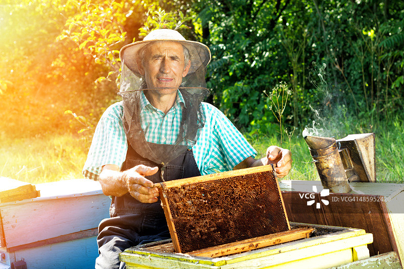 养蜂人在工作图片素材