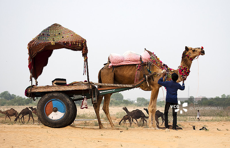 男孩和他的手推车图片素材