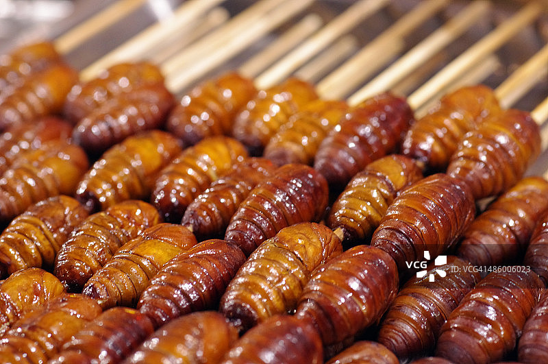 蚕蛹烤串图片素材