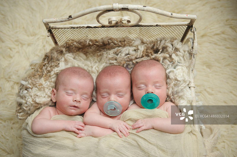 同卵三胞胎兄弟图片素材