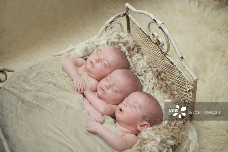 同卵三胞胎兄弟图片素材