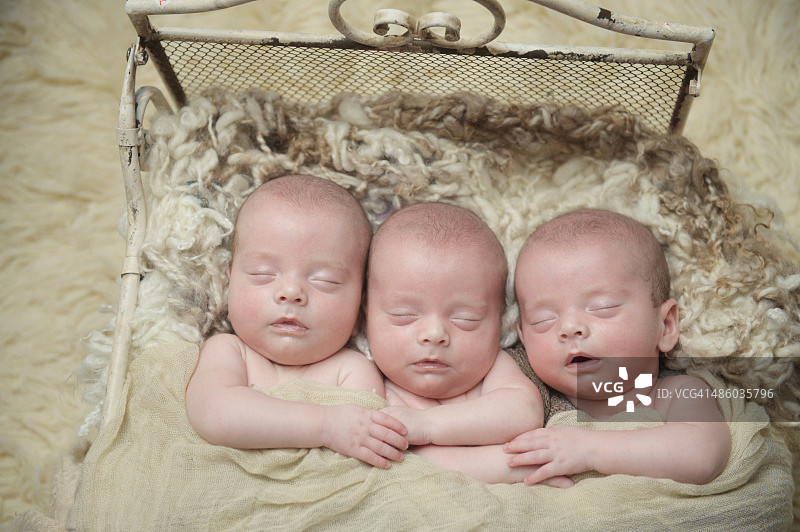 同卵三胞胎兄弟图片素材