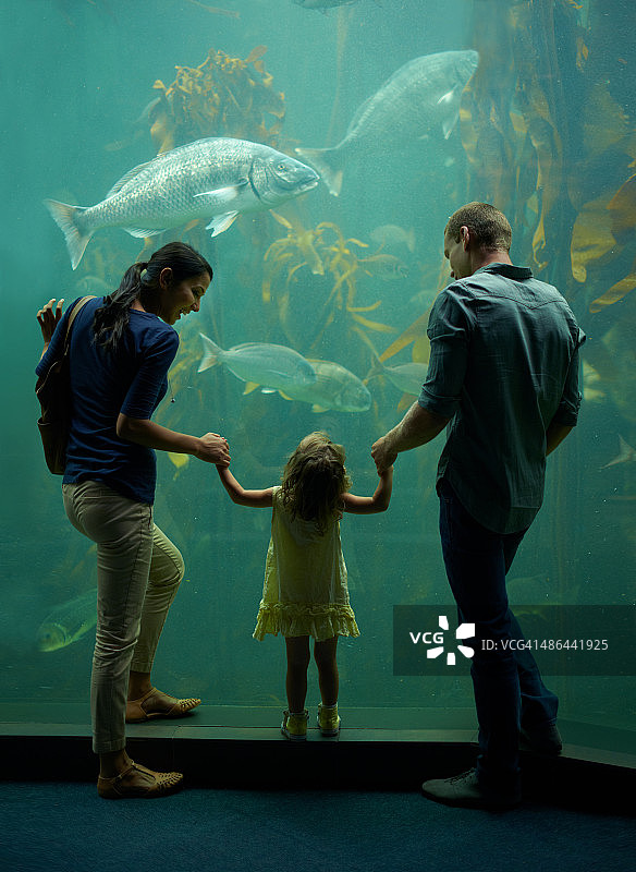 在水族馆的家庭日图片素材