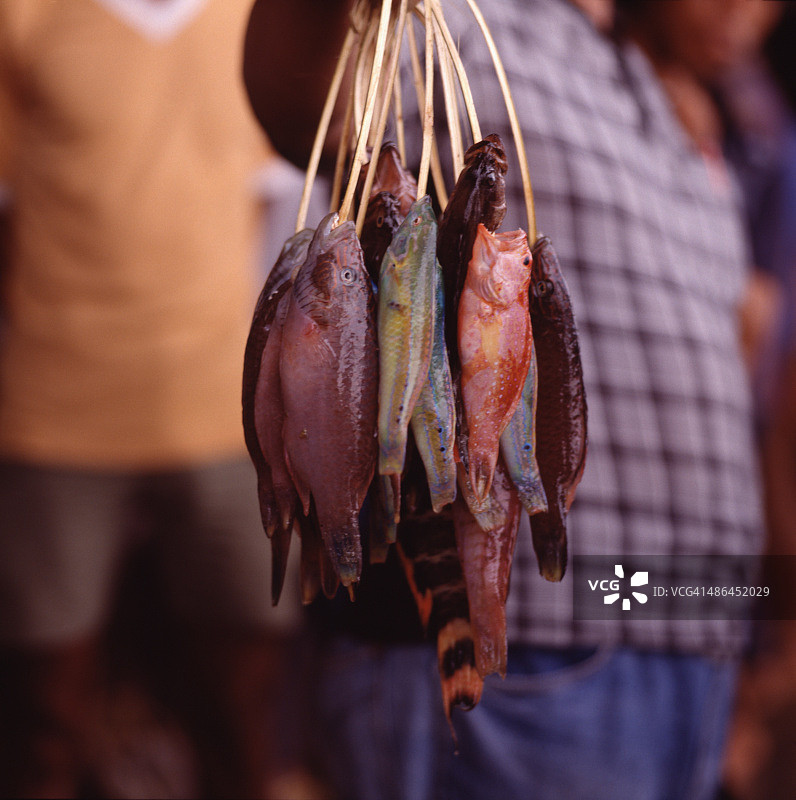 印度尼西亚苏拉威西岛乌戎潘当鱼市图片素材