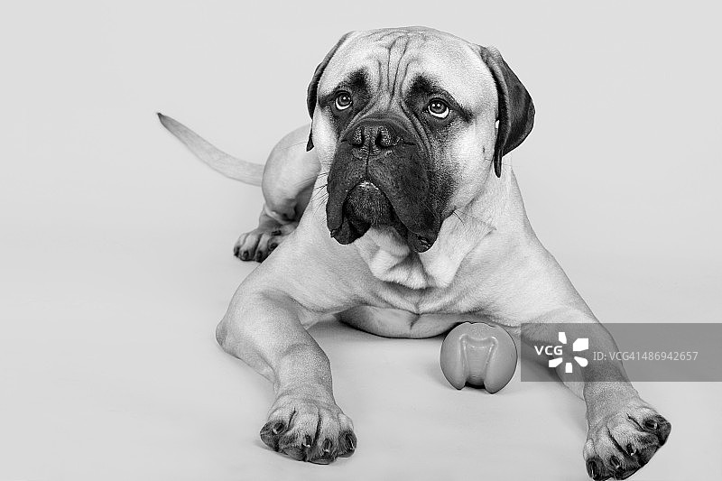 游戏时间图片素材