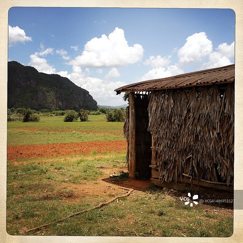 烟草农场图片素材