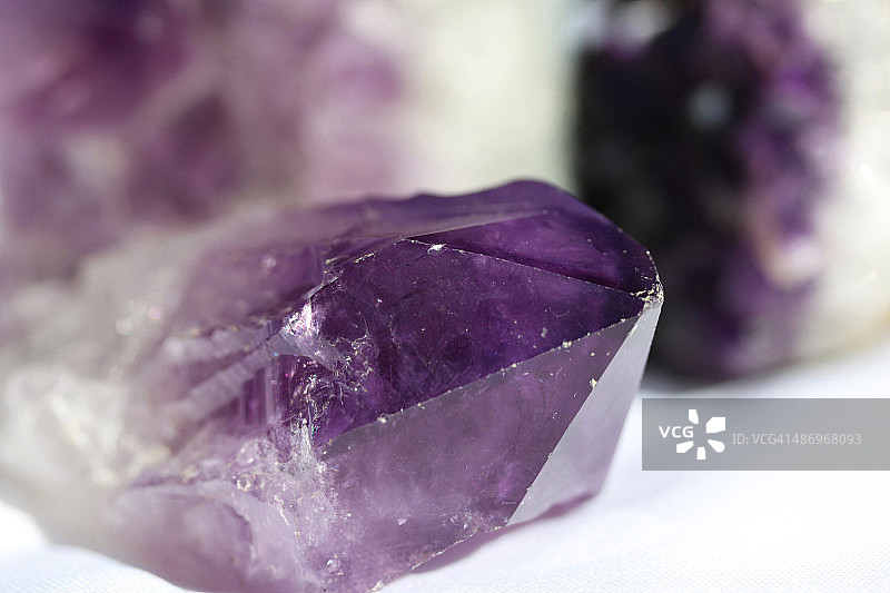 完美的紫色!图片素材