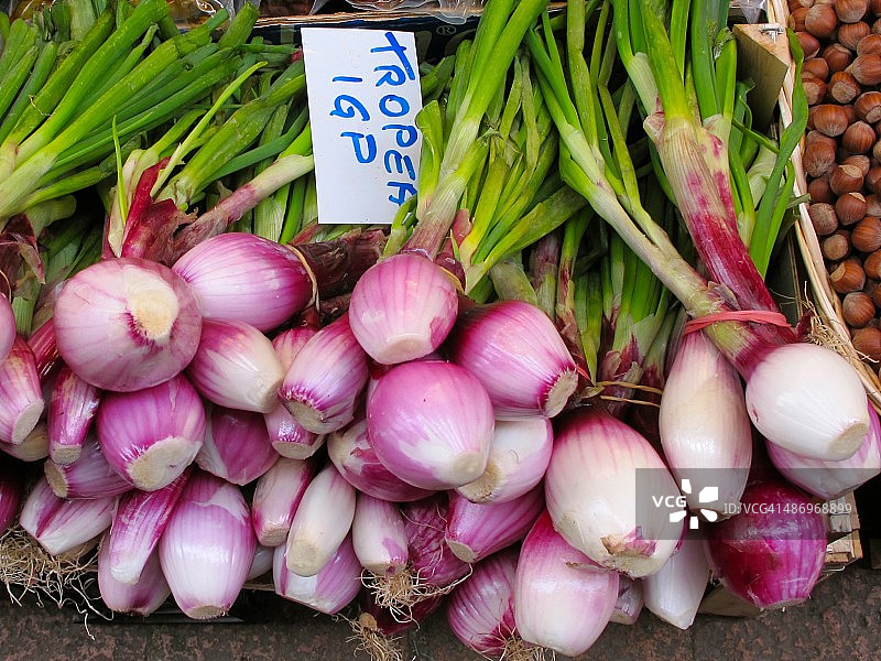 完美的紫色!图片素材