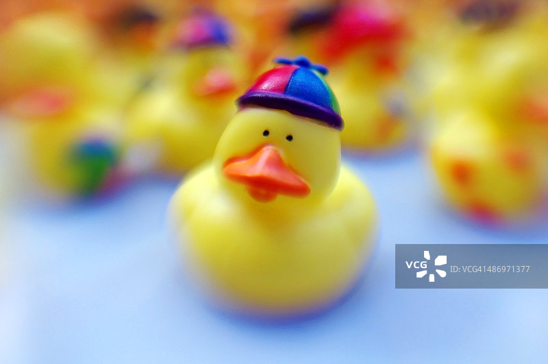 梦幻般的橡皮小鸭图片素材